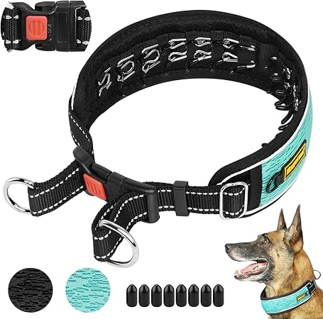 Martingale Halsband Für Hunde – No Pull, Extra Robust & Seidig Weich Mit Muster, 1 Zoll Breit (Größe M)