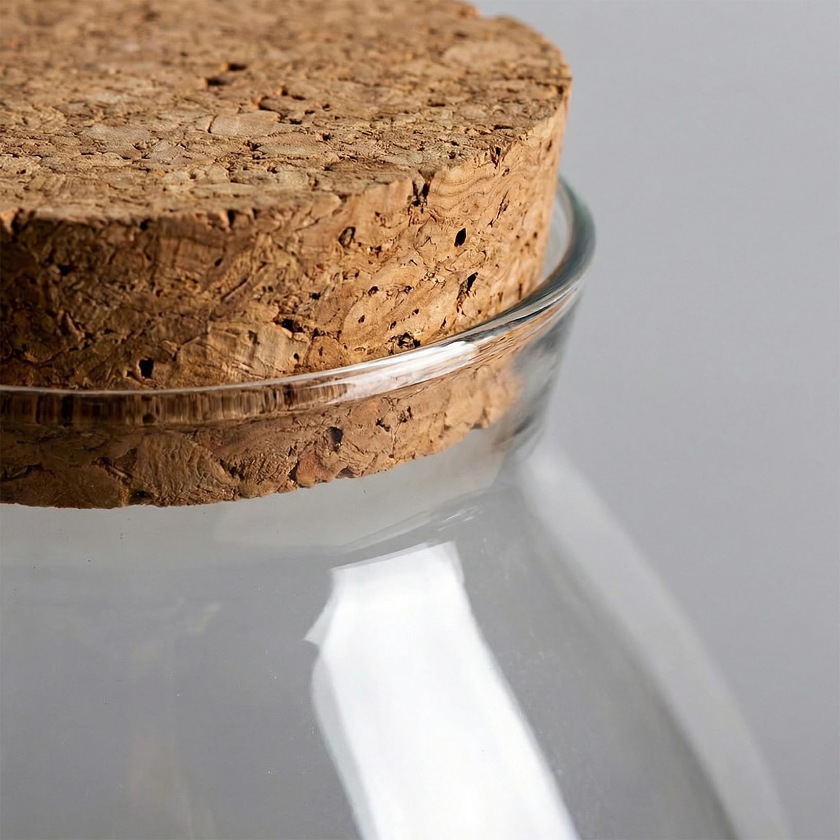 Terrarienglas – 1800 ml, geschlossener Terrarienbehälter mit Korkdeckel für Sukkulenten, Luftpflanzen, Moos – Hydrokultur-Pflanzgefäß aus Borosilikatglas und dekorative Vasen aus Glas