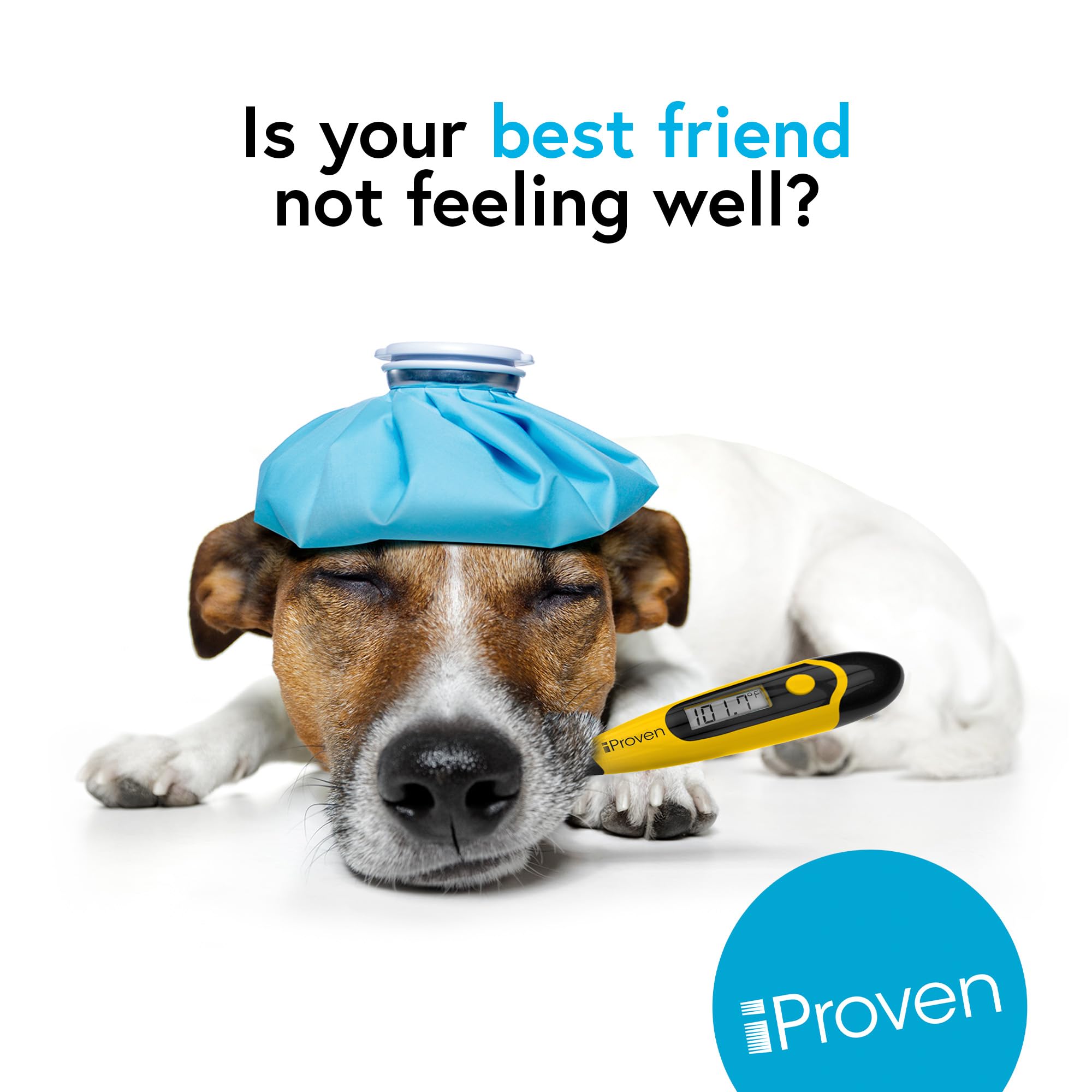 Termómetro para perros y gatos iProven - Termómetro para mascotas con punta flexible y cómoda, termómetro para perros veterinarios, detección precisa de fiebre, resultados rápidos en 20s