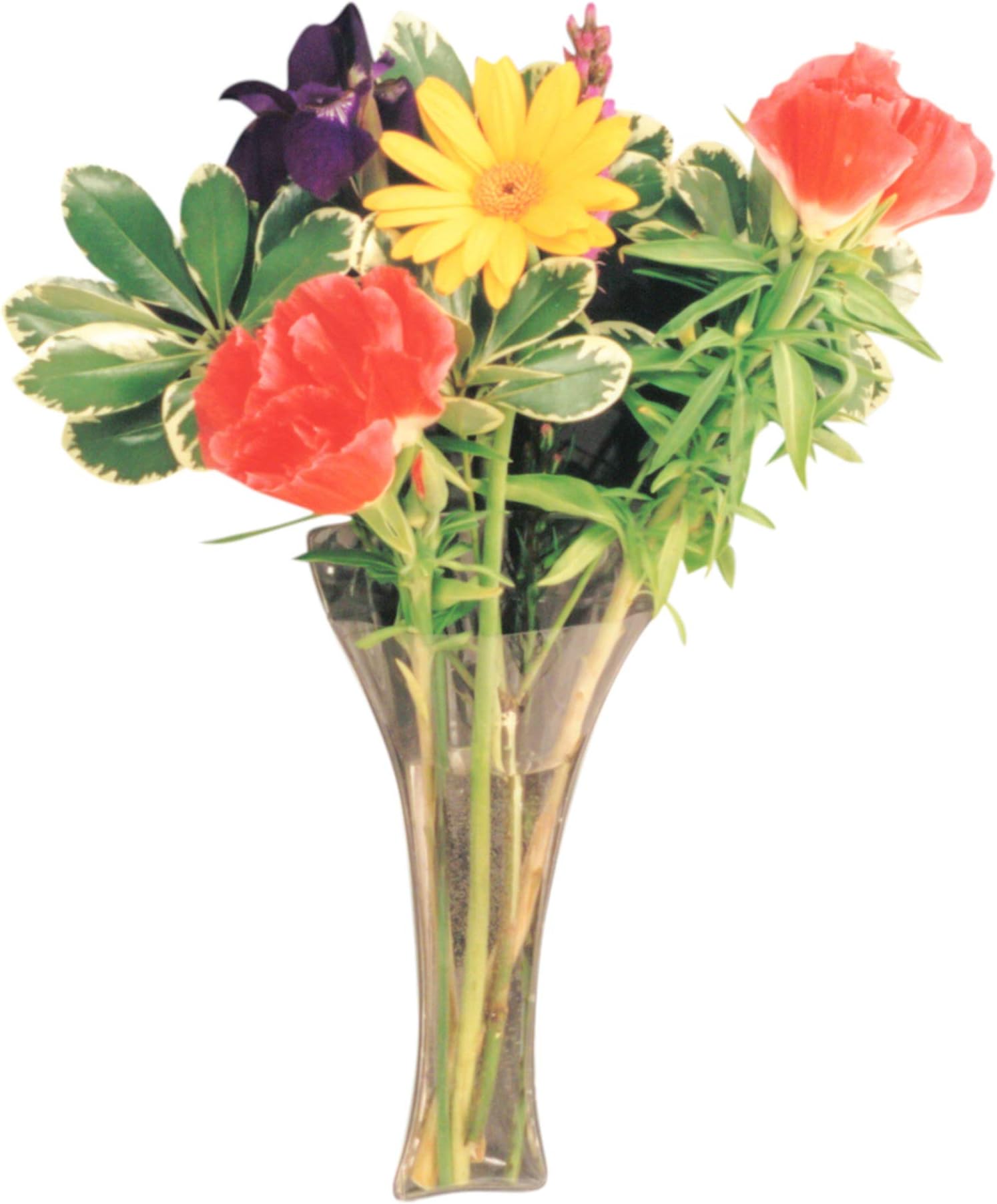 Gadjit Vinyl Window Vase Trumpet Style Flexible Vinyl Vase - Attaches to Windows, Mirrors, or Other Non-Porous Surfaces with Suction Cups Vase Holds a Bouquet of Flowers, Water, Greenery