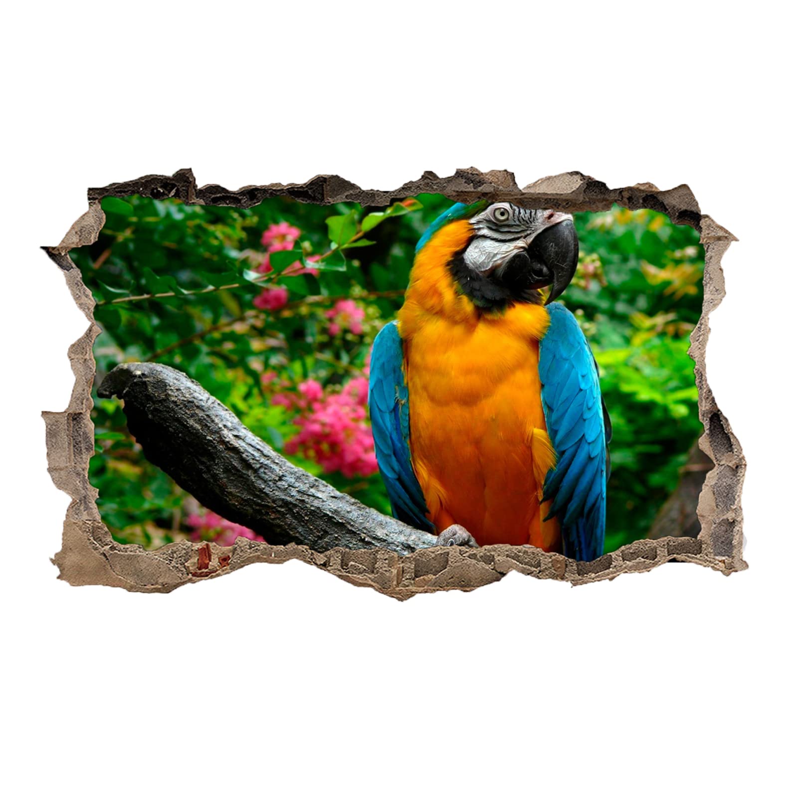 Tier Wandtattoos 3D Durchbruch Wandsticker Mauerloch Selbstklebend Wandaufkleber Papagei B 120 x H 80 cm für Kinderzimmer Schlafzimmer Wohnzimmer