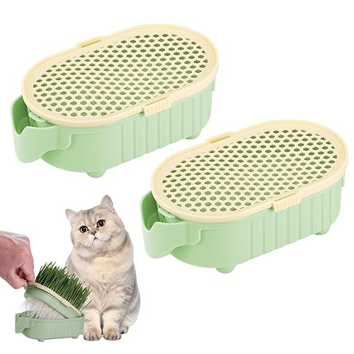 Hejo 2 Pcs Cat Grass Planter, Hydroponic Cat Grass Pot,