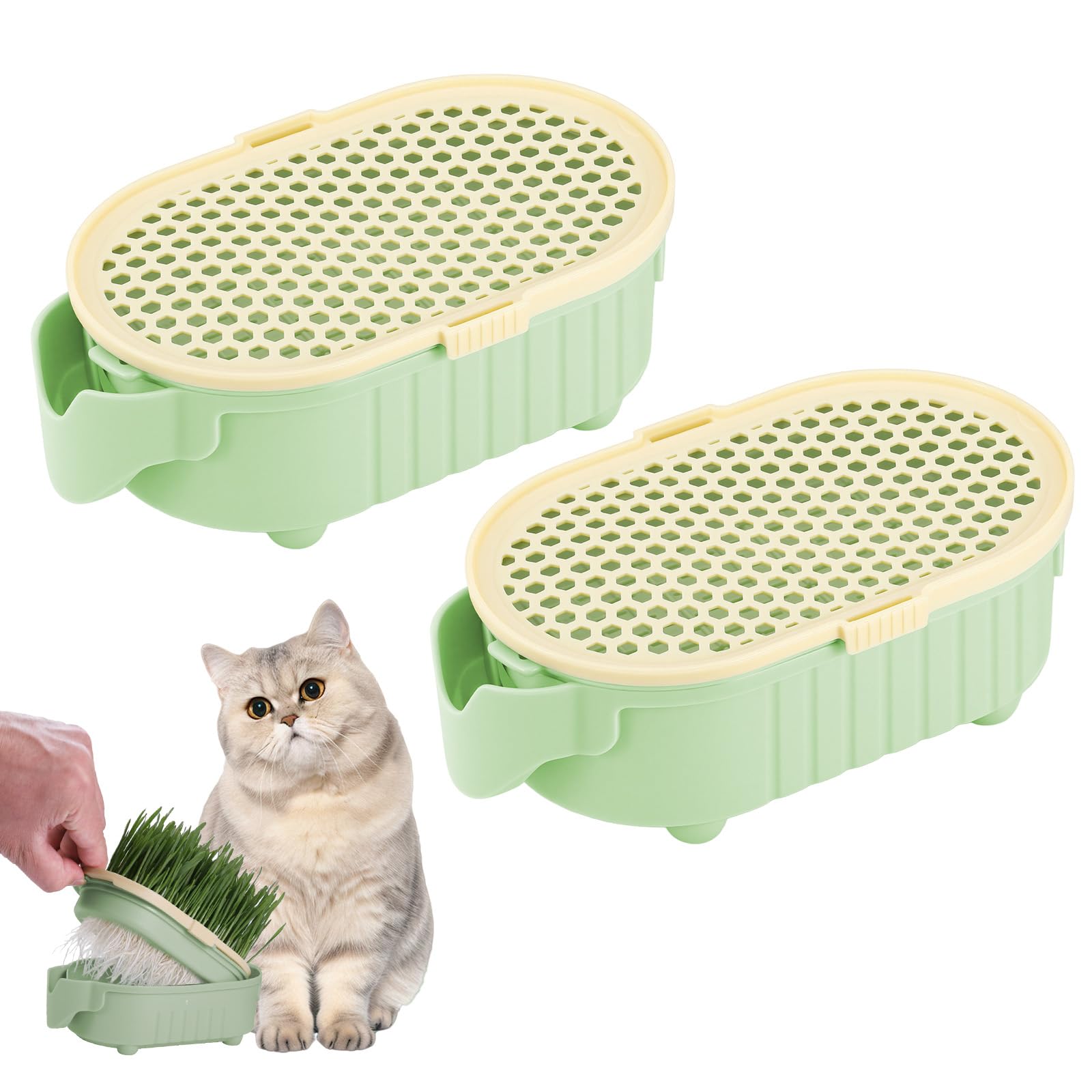 Hejo 2 Pcs Cat Grass Planter, Hydroponic Cat Grass Pot(Seeds Not Included)