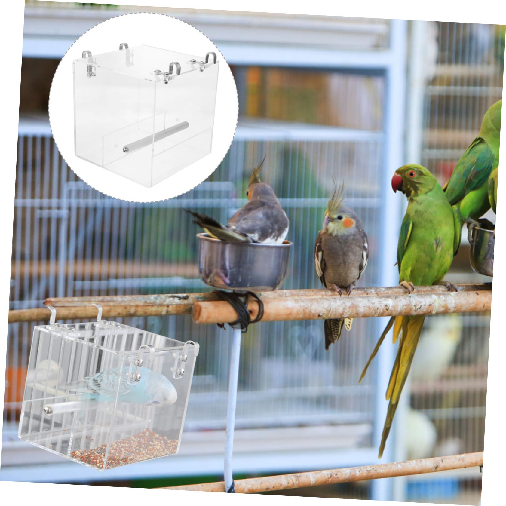 Mangeoire à Oiseaux Automatique pour Perroquet, Installation Facile