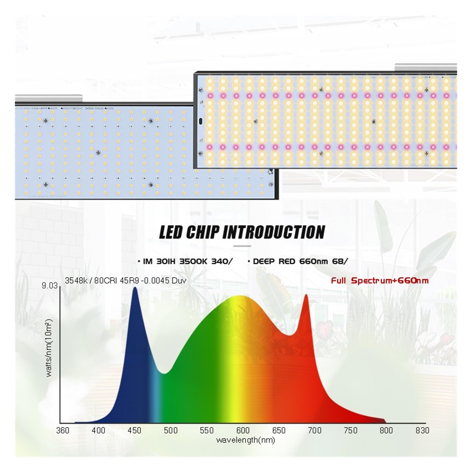 Lampe de Plante, Superbright LM301H Dimmable 240W 3000K/3500K 660nm, UV IR LED élèvent la lumière LED V3 Conseil Pilote for Les Plantes en Croissance(35K395450660730FS)