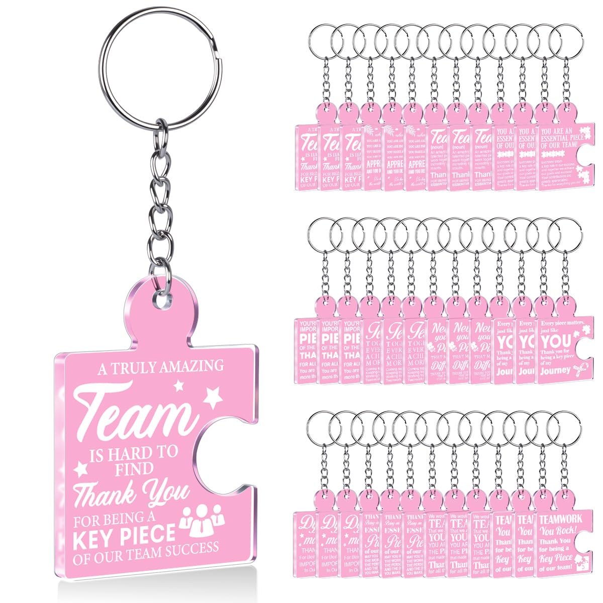 Team Appreciation Gifts Bulk Thank You Keychains for Coworkers
