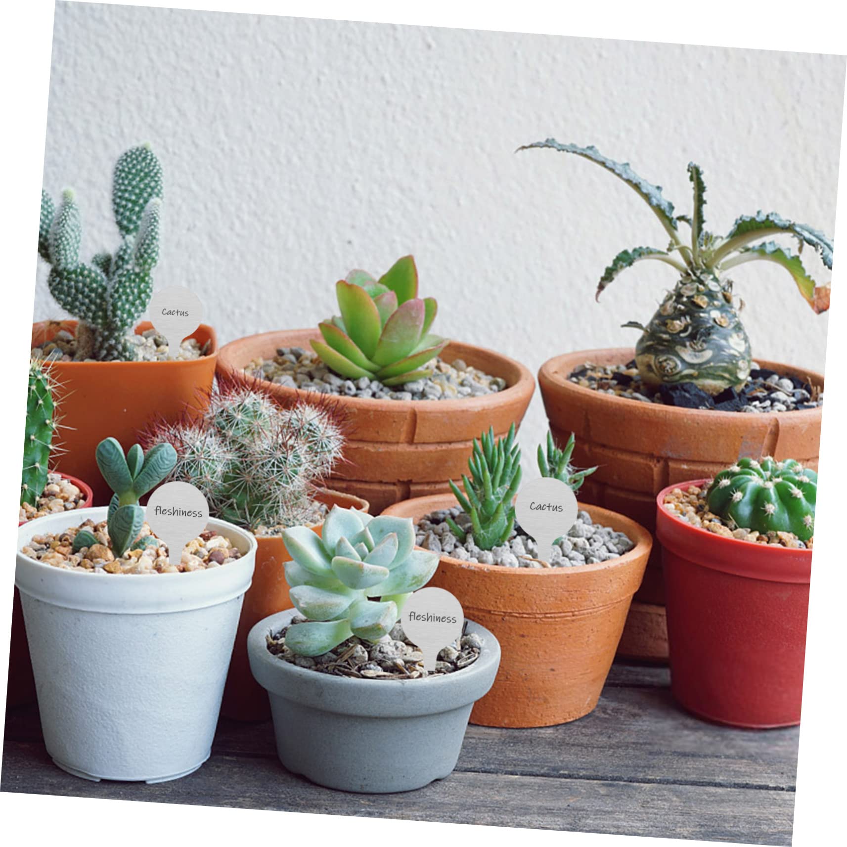 150 Pièces étiquette de la plante étiquettes de plantes faveurs jardinage outillage étiquette jardinage étiquettes d'usine en métal d'art de age Acier inoxydable