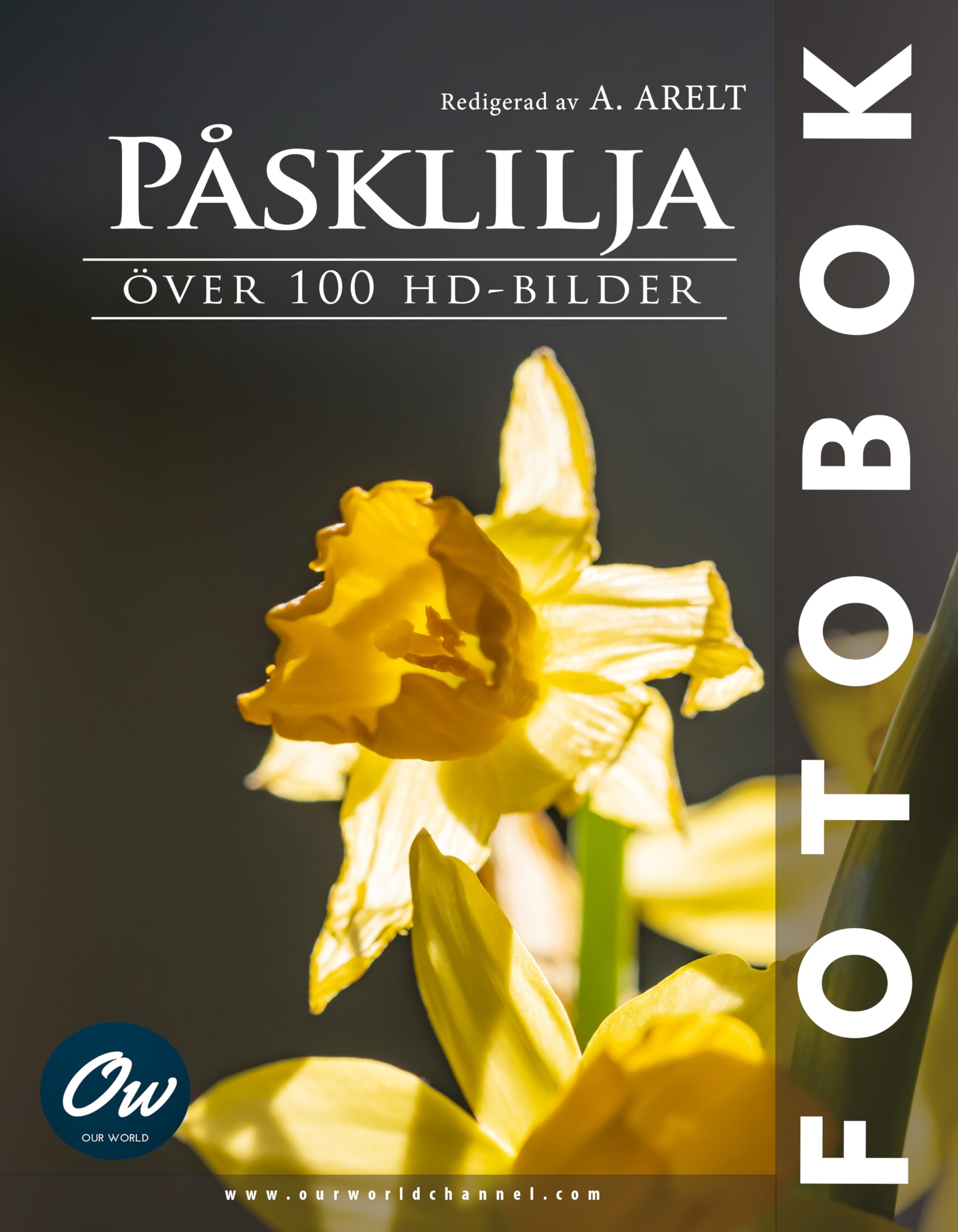 Photos Påsklilja HD album de jonquilles livre de photographie suédois