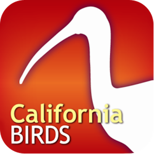 Audubon Bird Guide: California