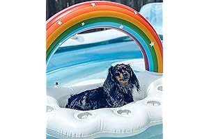 Inflatable Rainbow Cloud Drink Holder Pool Float