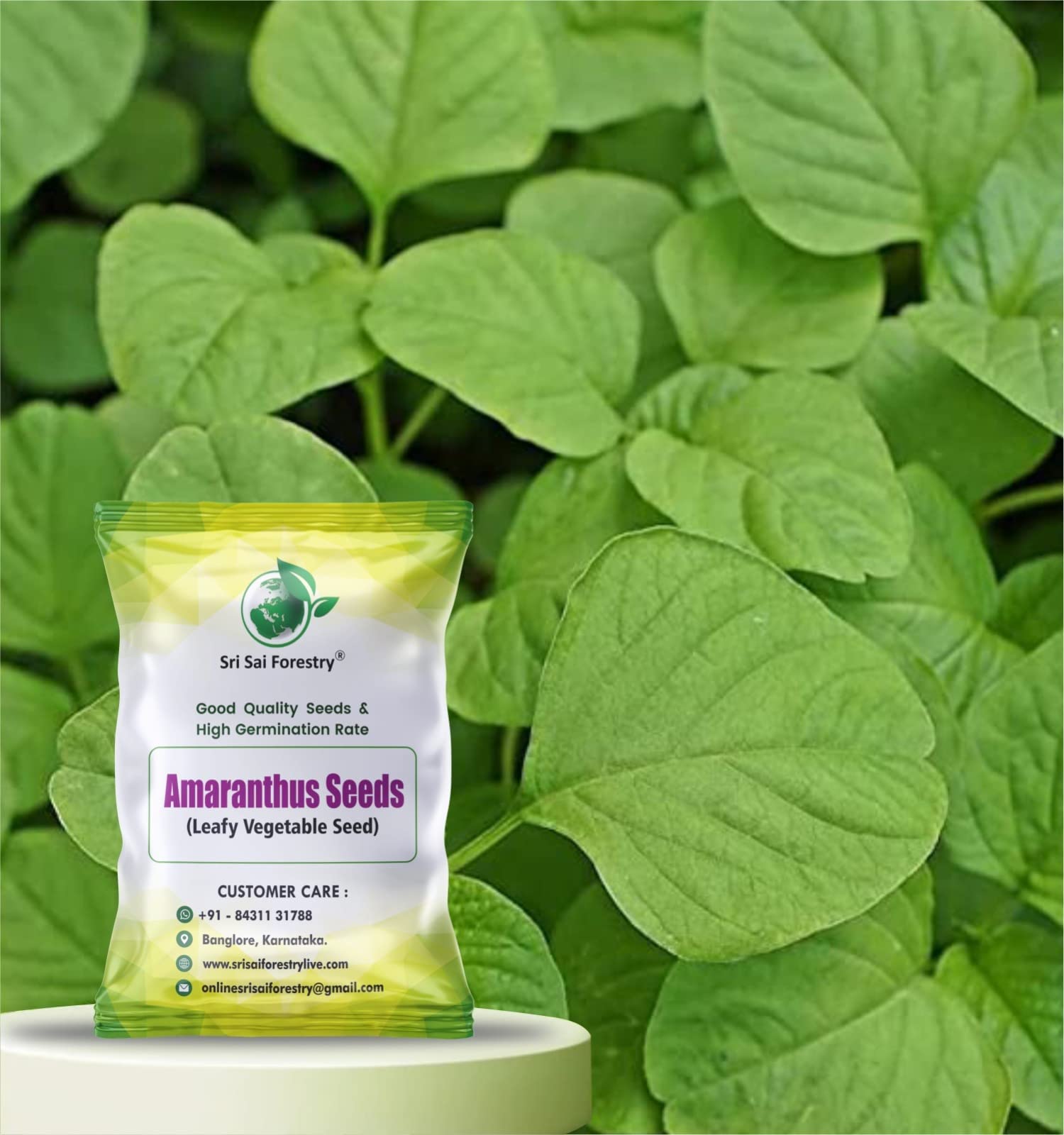 SRI SAI FORESTRY Organic Green Amaranthus Seeds for Home Garden (Pack of 3000 Seed) | Amaranth Leaf Chawli Chaulai Thotakura Dantu Harive Soppu Sirukeerai Amarant Vegetable Seeds (B09DW51GGX) Amazon Price History, Amazon Price Tracker