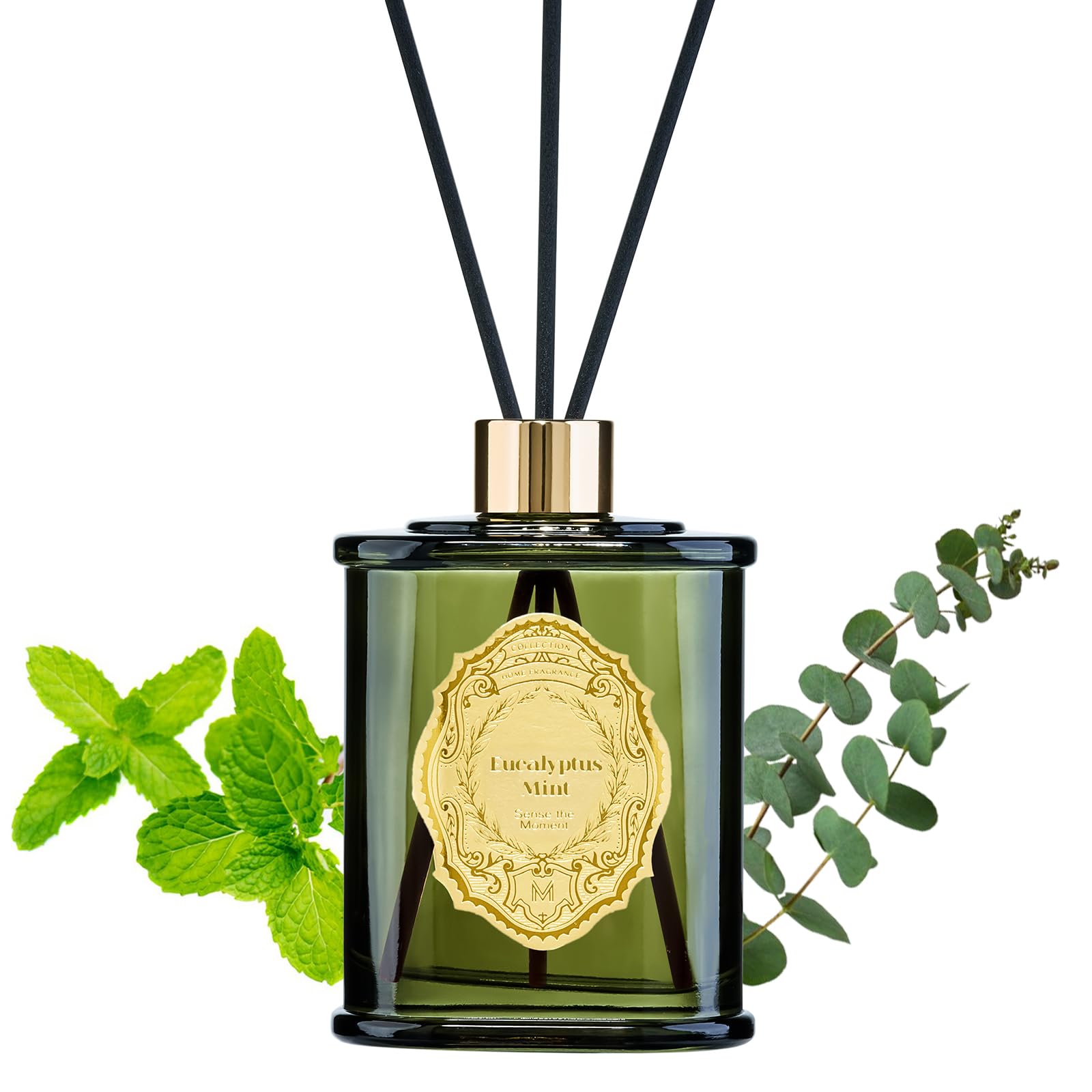 M&SENSE Raumduft 240ml|Reed Diffuser mit 7 Duftstäbchen|Luxus Lufterfrischer für Badezimmer,Wohnung,Heimdekoration|Raumduft Stäbchen
