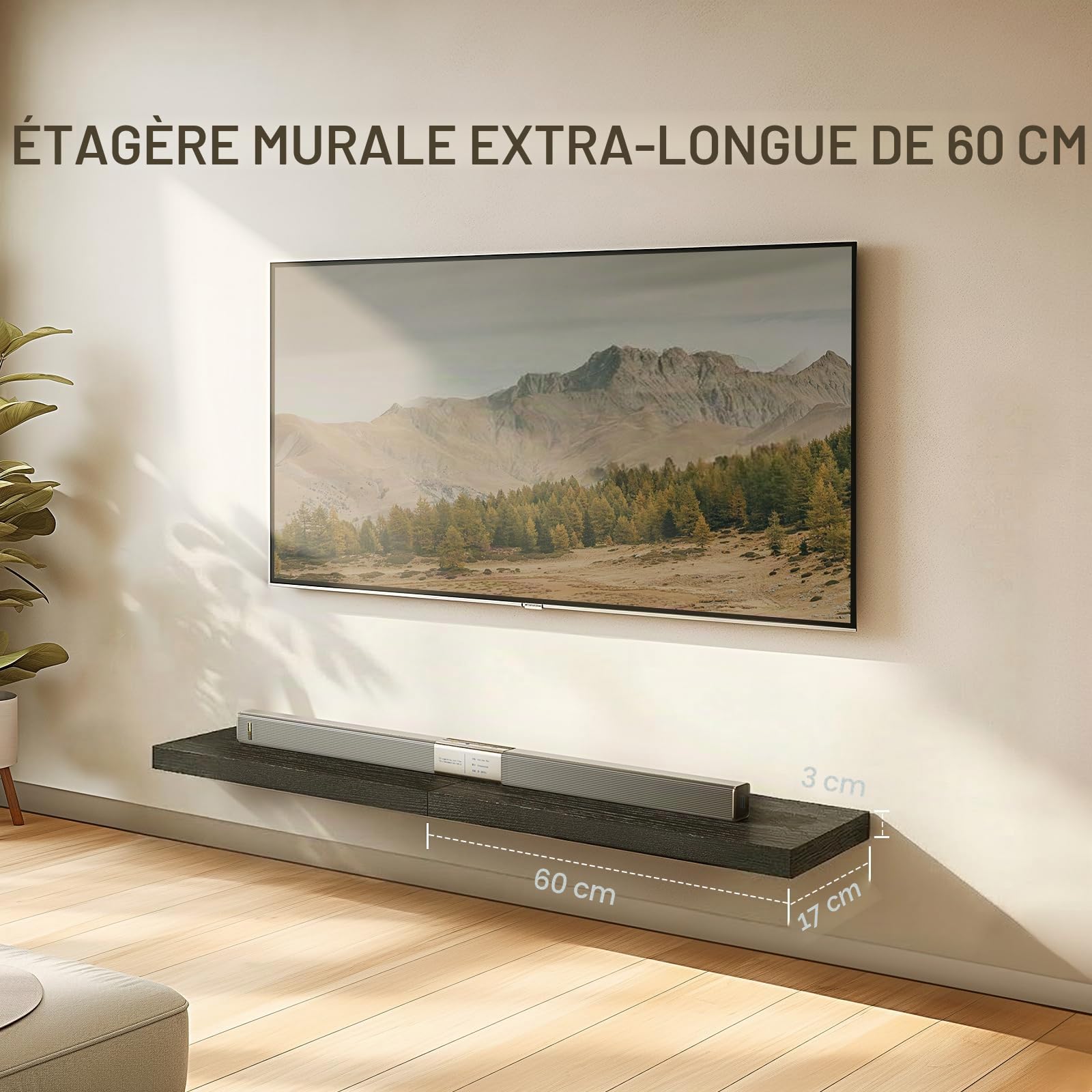 Amada Étagère Murale 60 cm avec Supports Invisibles, Lot de 2, Noirc
