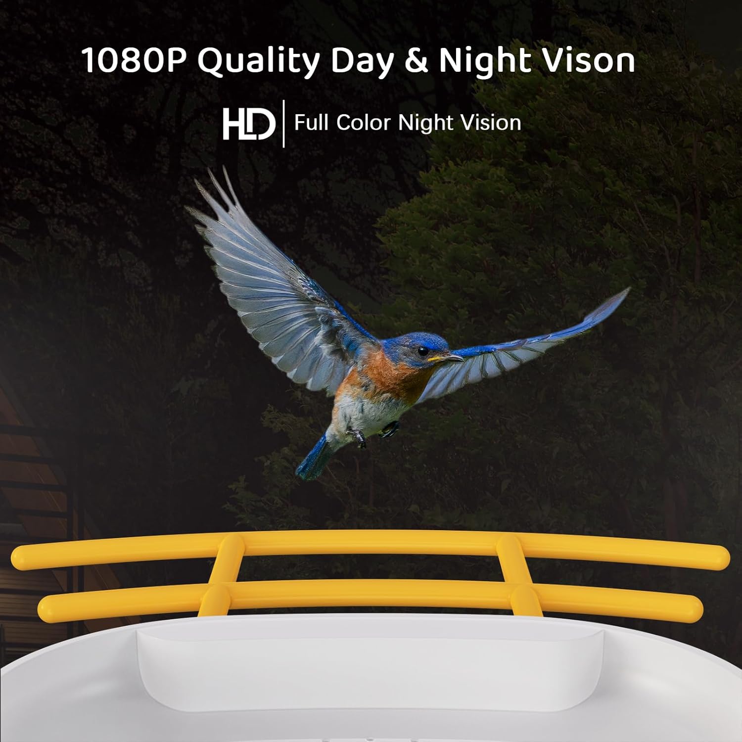 1080P HD Day and Night Vision