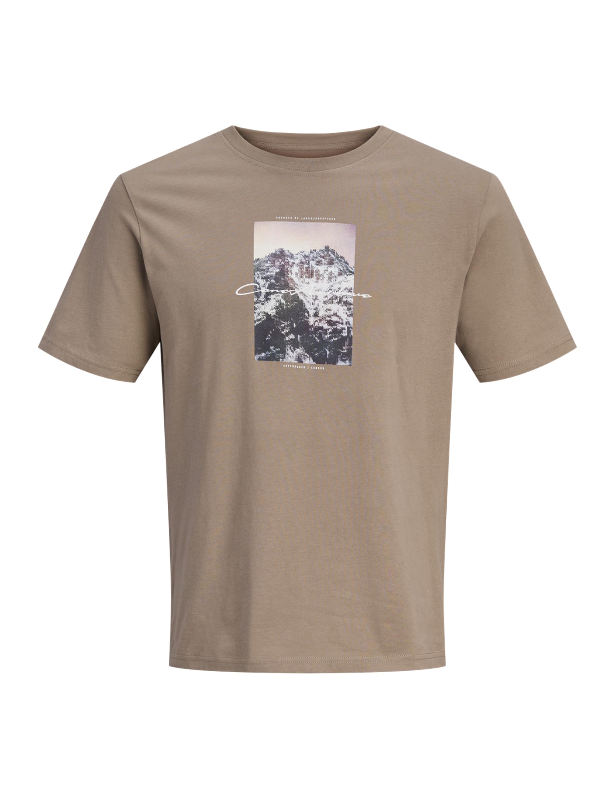 JACK & JONES Jcopoint Photoprint Tee Ss Crew Neck FST