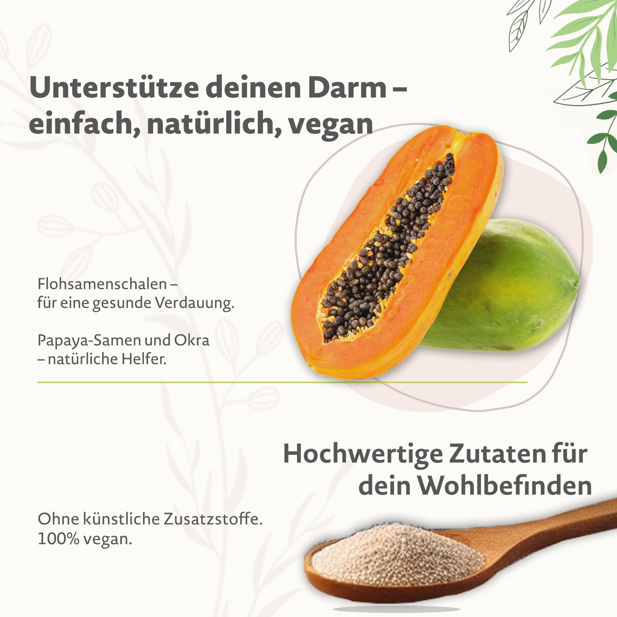Cellavita Pro Colon Vita "Lebenszentrum Darm" Kur | inkl. Shaker | Flohsamenschalen, Erbsenprotein, Cassia-Fistulapulver uvm. | hochdosiert & VEGAN | 2-Wochen Kur 2x 420g Pulver (840g)