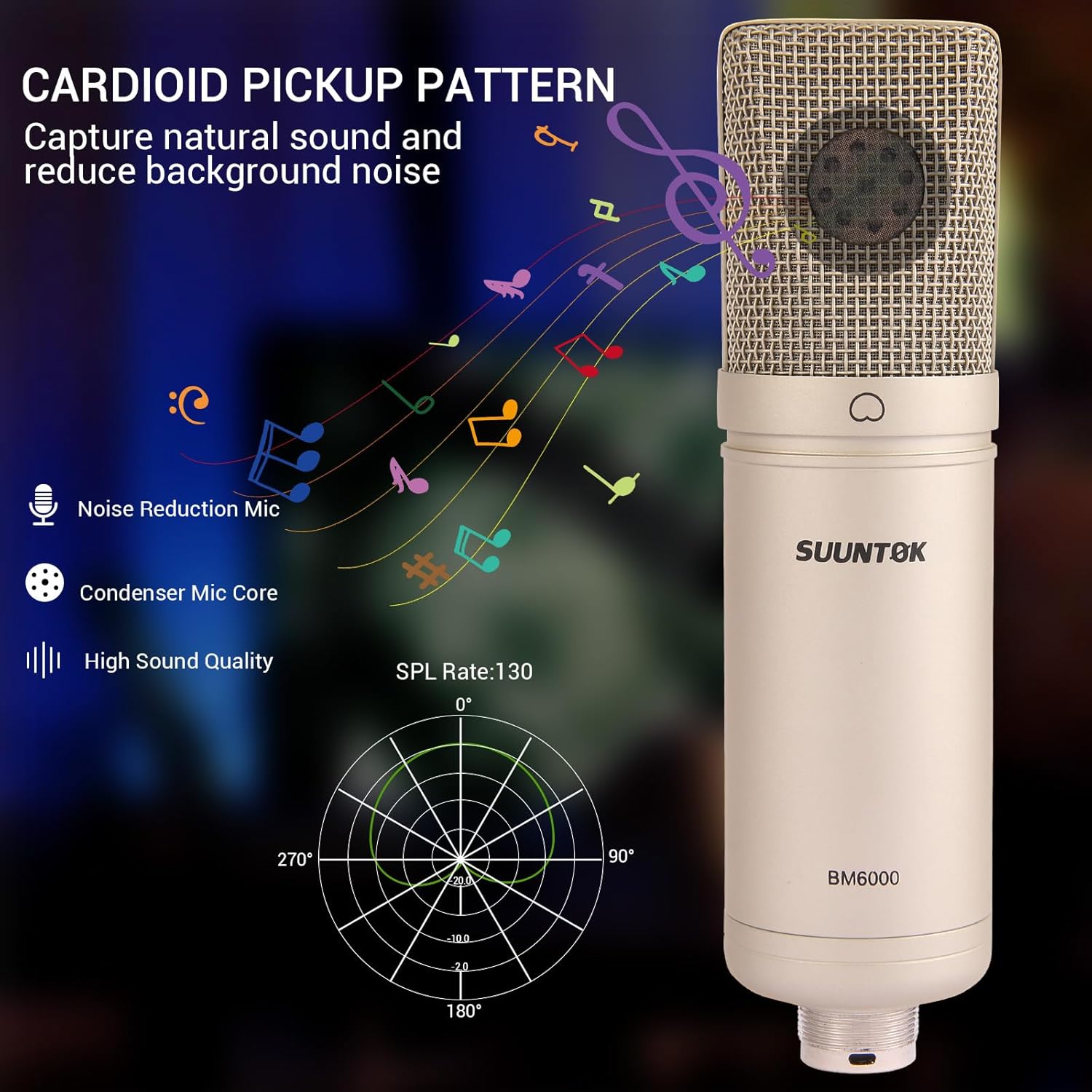 Condenser Microphone XLR, Large Diaphgram Professional Recording Cardioid Microphone Kit with Shock Mount, for Studio, Live Streaming, Podcas (Silver) - Image 5