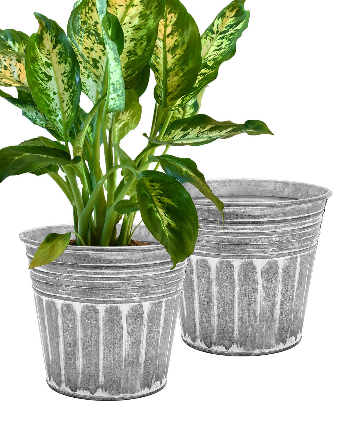 vensovo 11 Inch Silver Metal Rustic Plant Pots - 2Pcs Large Galvanized Flower Pots with Drain Hole and Rubber Plug, Rustproof Metal Bucket Planters Farmhouse Vintage Style for Decor
