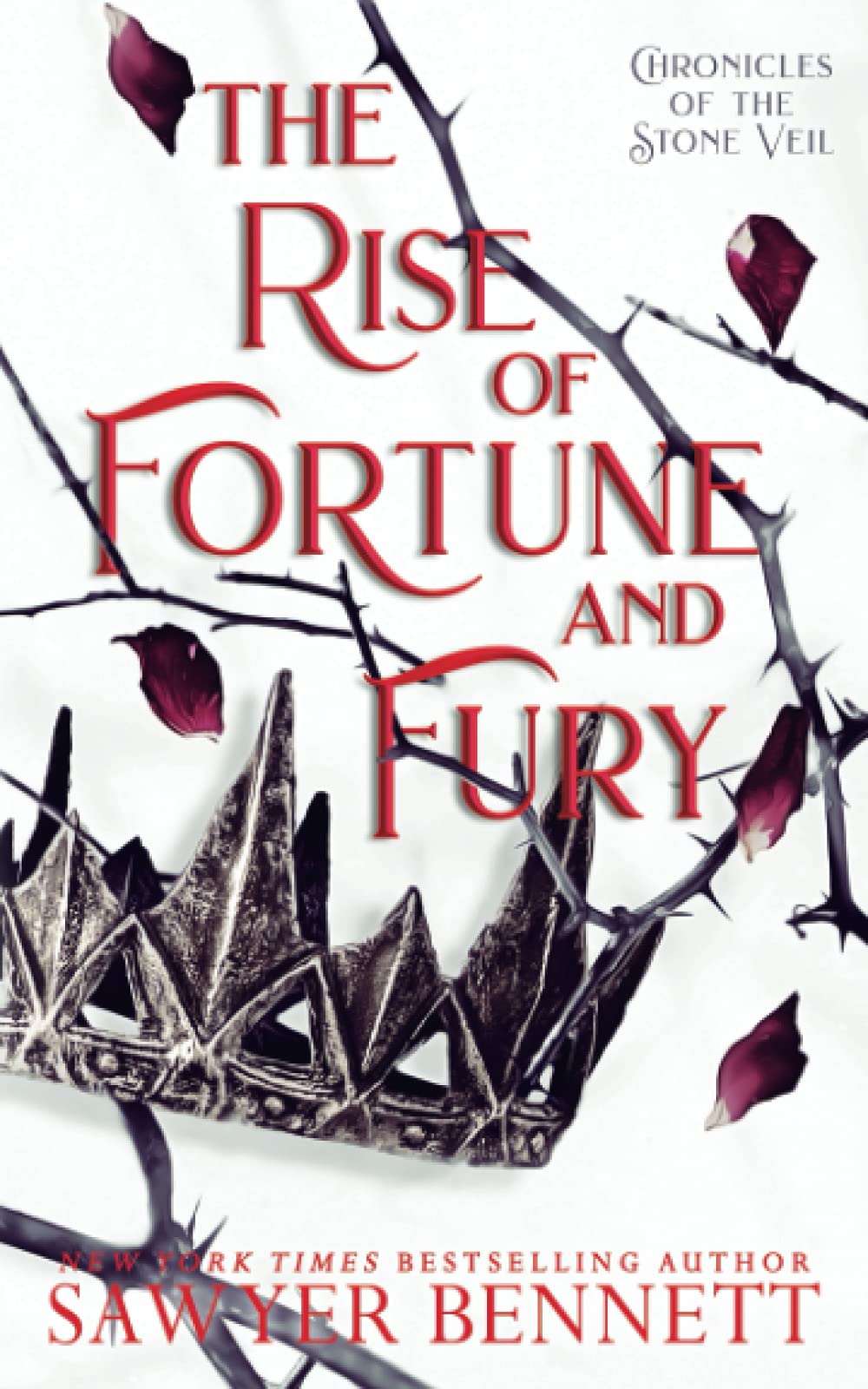 The Rise of Fortune and Fury (Chronicles of the Stone Veil)