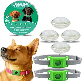 Aquality Pets Natürliches Floh- und Zeckenhalsband für Hunde – Abwehrender Anhänger mit ätherischen Ölen, inkl. 2 austauschbarer Kapseln, verstellbar, kein direkter Hautkontakt