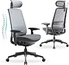 COLAMY Ergonomic Office Chair, High Back Computer Executive Desk Chair with Lumbar Support, Adjustable Headrest and 4D Arm, Slide Seat - Black Grey