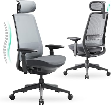 COLAMY Ergonomic Office Chair, High Back Computer Executive Desk Chair with Lumbar Support, Adjustable Headrest and 4D Arms, Slide Seat-BlackGrey