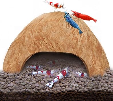SunGrow Coconut Aquarium Shrimp Cave, Small Fish Tank Decorations Accessories, Comfortable Shelter and Breeding Area for Crustaceans, Fish Hideout Aquarium Decor for Spawning 1 piece