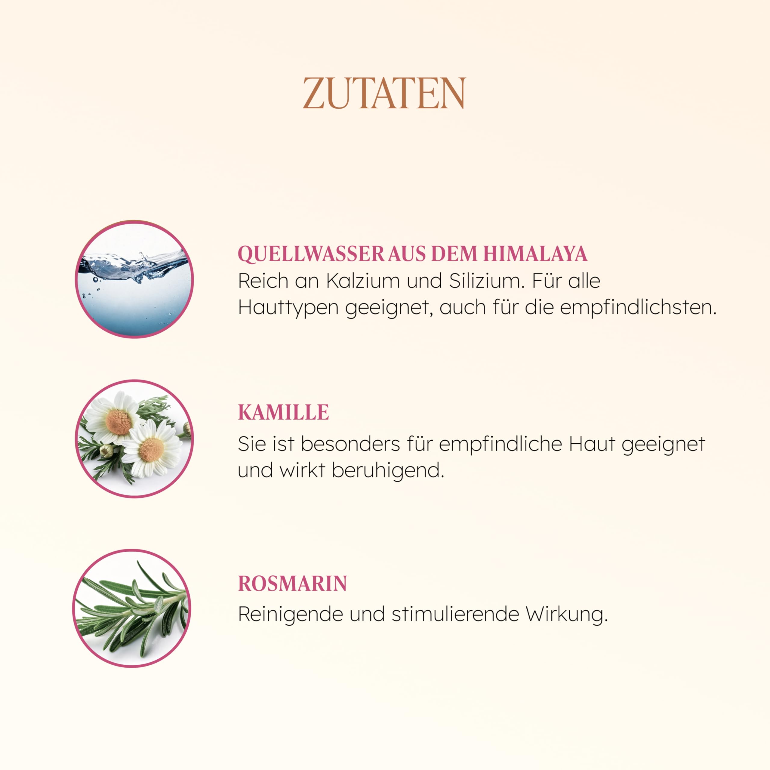 TAAJ Himalaya Mizellenschaum | reinigt, entfernt Make-up & entfernt Unreinheiten | Saubere, weiche & geschmeidige Haut | beruhigende Eigenschaften | Frischer & heller Teint | Vegan & Cruelty Free | 2