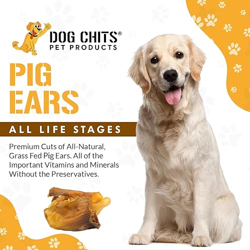 Miniatura 2 de Dog Chits Pig Ears - Golosinas masticables de entrenamiento para perros y cachorros, totalmente naturales y sin productos químicos, alto en