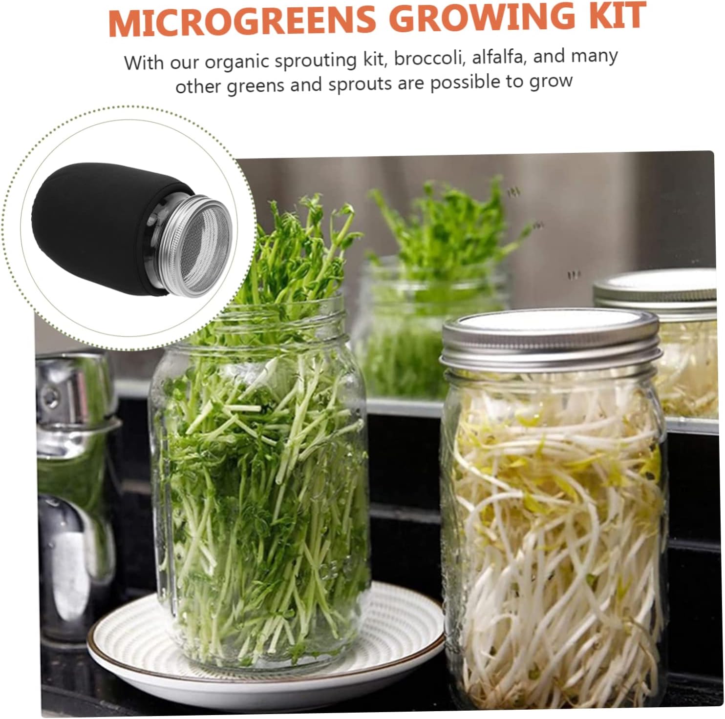 Germination Jar Kit 2pc Mason Jars Sprouting Lids Sprout Growing Kit for Broccoli Radish