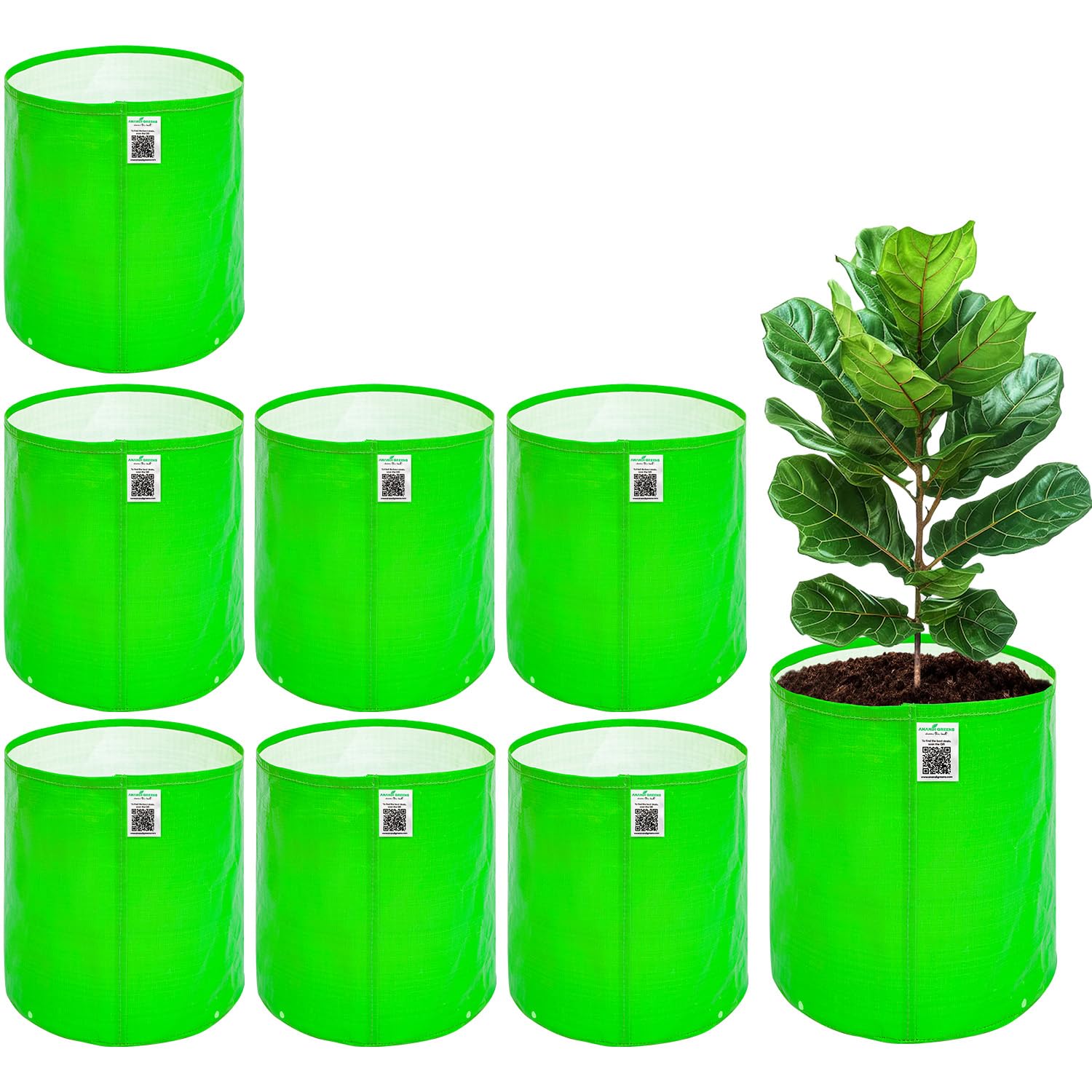 Anandi Green’s Premium HDPE UV Protected 260 GSM Round Green Color Plant Bags Suitable for Terrace and Vegetable Gardening Size 12×15 inches Pack of 8 Grow Bags Anandi Green’s Premium HDPE UV Protected 260 GSM Round Green Color Plant Bags Suitable for Terrace and Vegetable Gardening Size 12×15 inches Pack of 8 Grow Bags