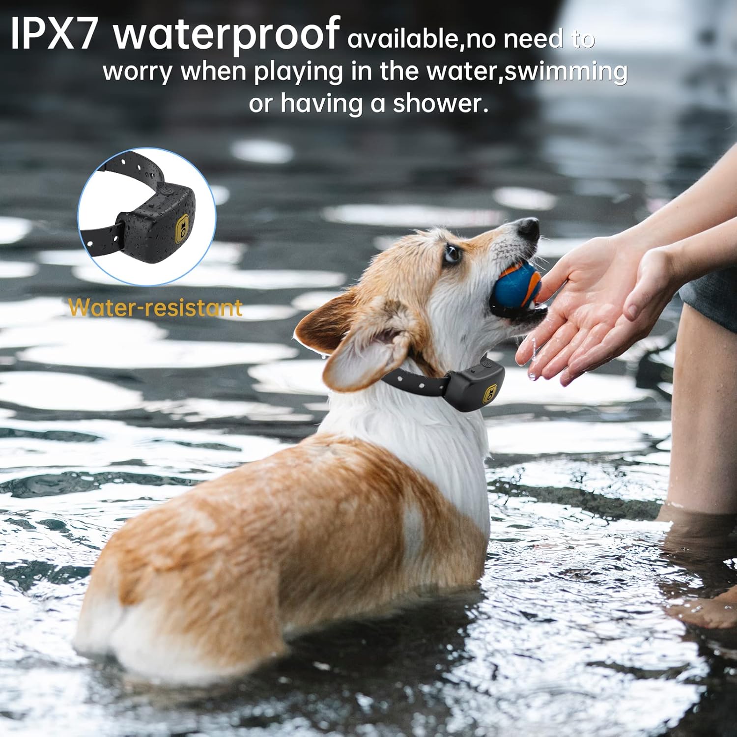 Pedono Bark Collar IPX7 waterproof feature