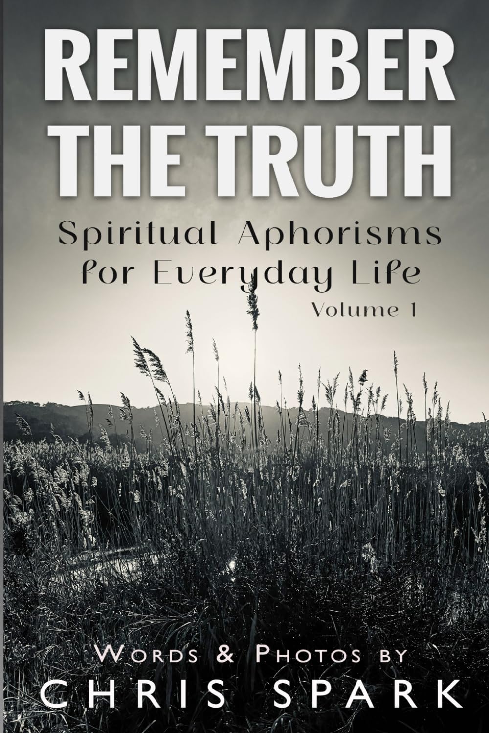 Remember the Truth: Spiritual Aphorisms for Everyday Life - Volume 1