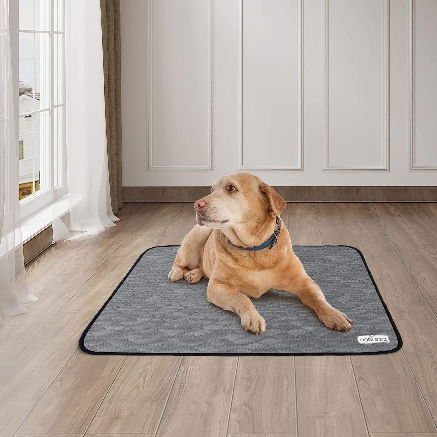 Nobleza Tappetini Lavabili per Cani 71 * 82cm Tappetino Igienici per Cani, 2 Pezzi Riutilizzabile Tappetino da Allenamento per Cuccioli, Tappetini assorbenti Antiscivolo per Cani