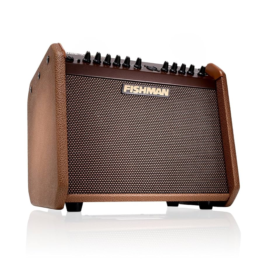 FISHMAN Loudbox Mini Charge アンプ Amazon.com: Fishman Loudbox Mini Charge 60-Watt 1x6.5 Inches