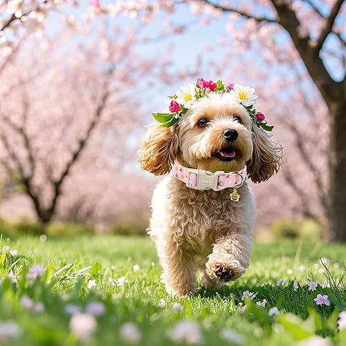 Miniatura 10 de Aring Pet Collar de algodón, ligero y ajustable, con hebilla de liberación rápida para perros pequeños, medianos y grandes
