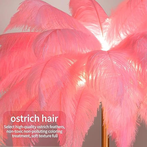 Miniatura 4 de Lámpara de pie moderna, pantalla de avestruz natural, lámpara de pie con luz blanca, cuerpo de lámpara dorado con cable enchufable, lámpara de pie