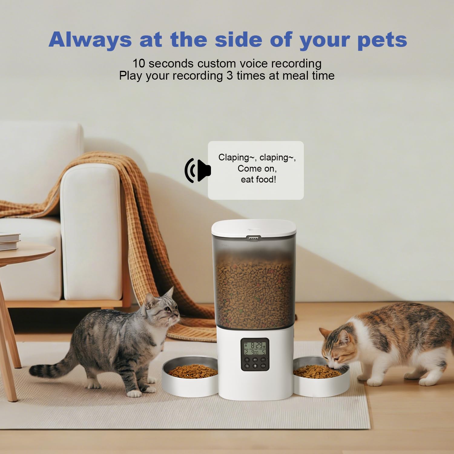 ANDOLL HOME 6L Automatic Cat Feeder, 2 Pets Timed Cat Dry Food Dispenser view 6