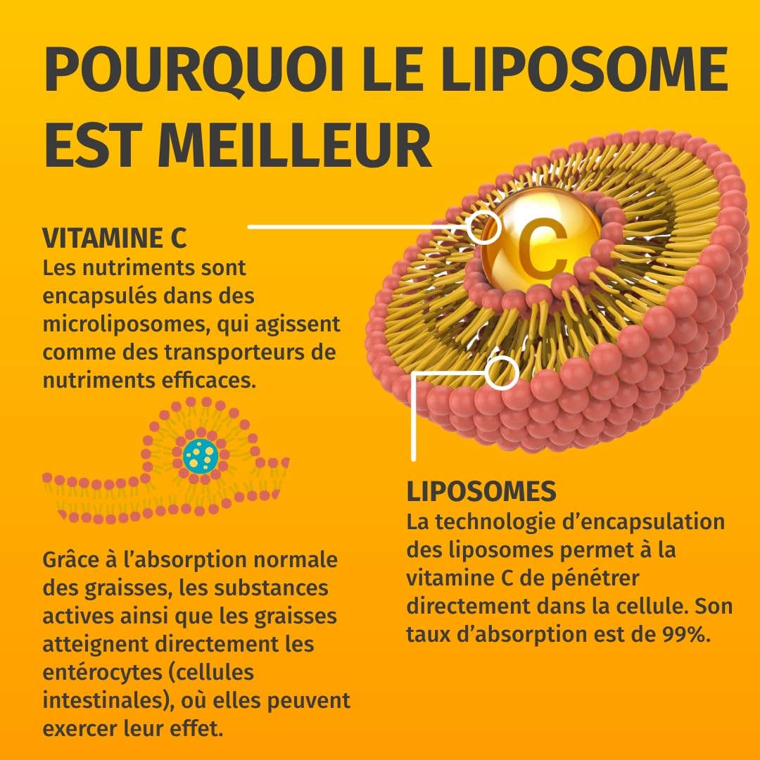 Green Naturals Vitamine C liposomale 1 250 mg – Acérola – 180 gélules | Technologie liposomale · À base d'acérola · Vegan · Cure de 3 mois