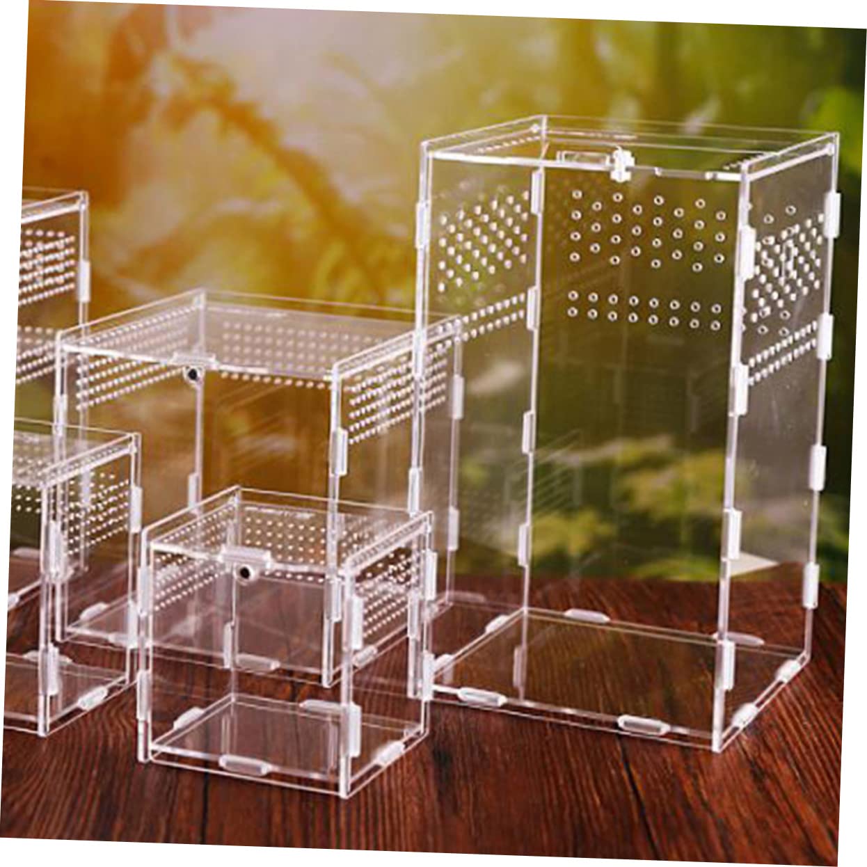 ORFOFE Terrarium für Reptilien mit Durchsichtigen Futterboxen aus Acryl 360° Hohe Transparenz als Reptilien Terrarium Dekoration für Konstante Luftzirkulation