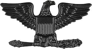 Air Force Colonel Officer COL O-6 Subdued Black Metal Rank Pair