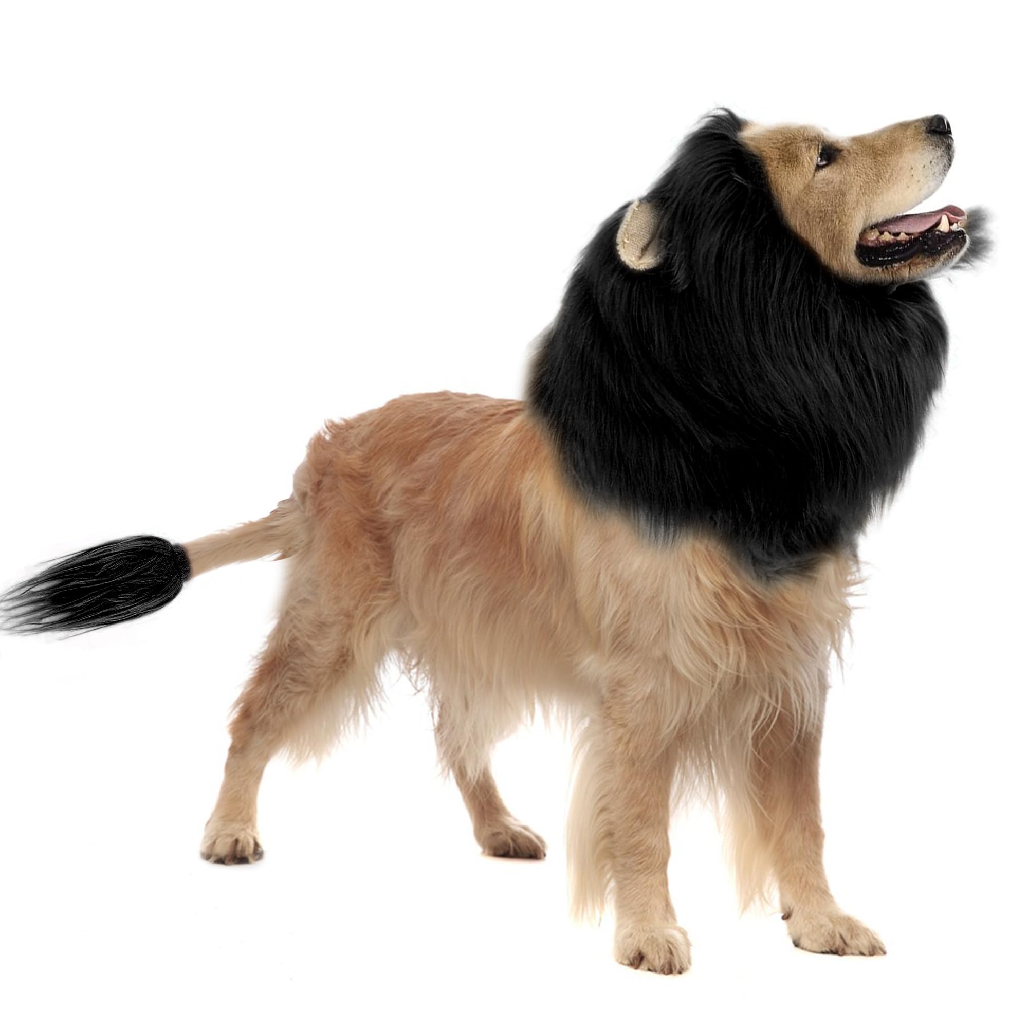 CQJ Lion Mane Dog Costume for Medium & Large Dogs - Realistic Lion Wig for Halloween, Photoshoot & Entertainment (Black) - Size L + Tail Set