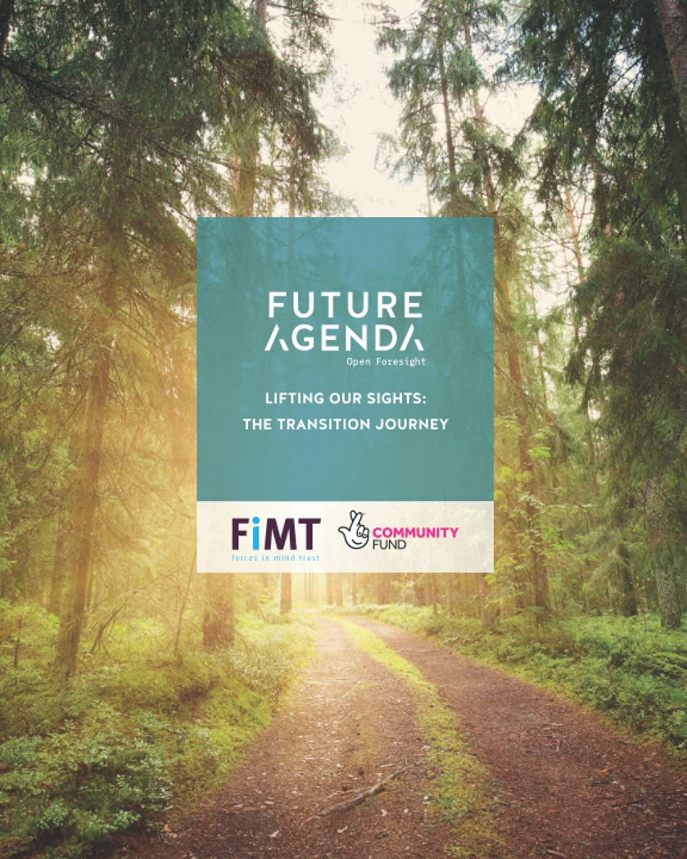 Lifting Our Sights: The Transition Journey
