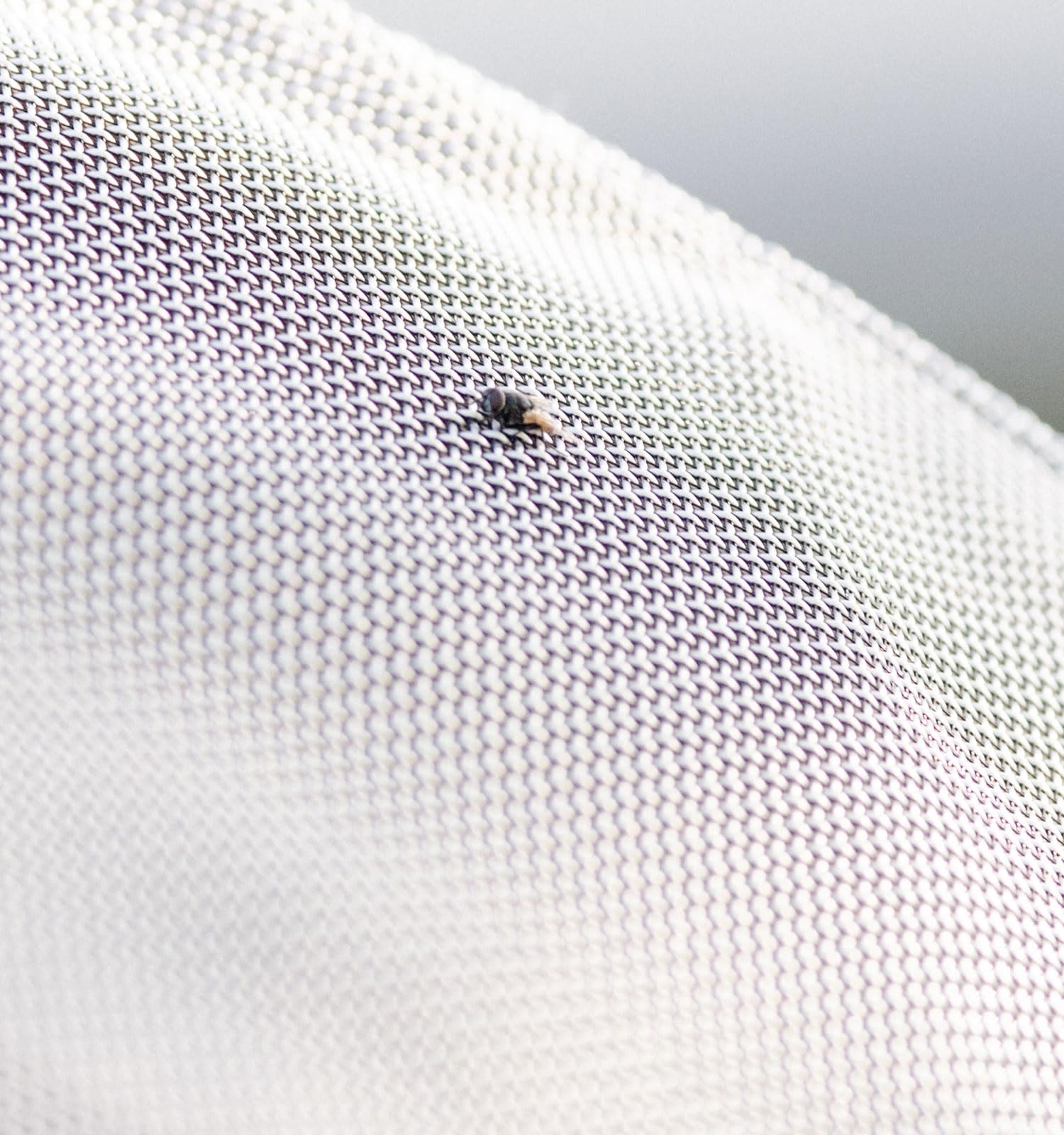 Horseware Protector Fieldsafe Plus - Telo anti-mosca