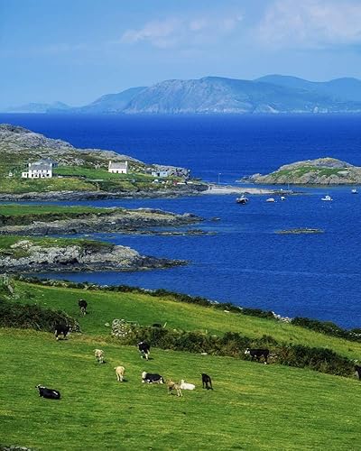 Posterazzi DPI1806486 Ilnacullin, Beara Peninsula, County Cork, Irlanda Photo Print, 13 x 16, Multi