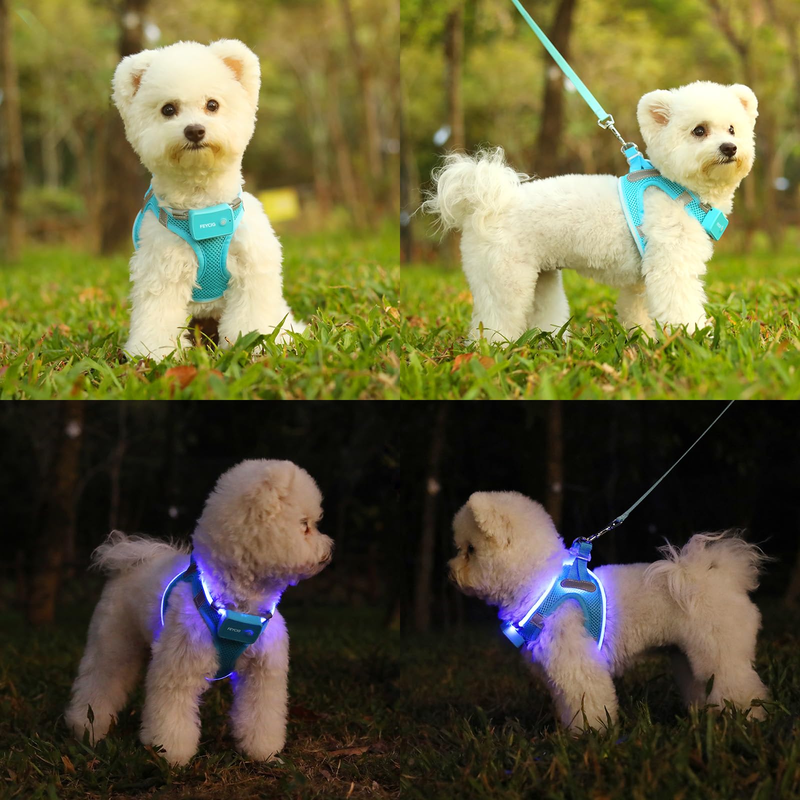 Leuchtendes Hundegeschirr, wiederaufladbar, LED-Hundegeschirr für kleine, mittelgroße und große Hunde, verstellbar und reflektierend, blinkend, Sicherheitsweste, wasserdicht für nächtliche
