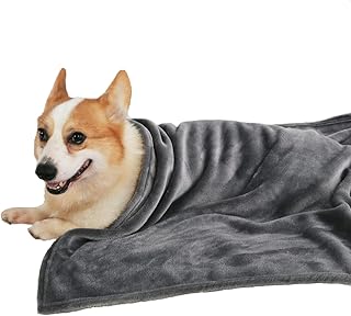 cheap dog blankets