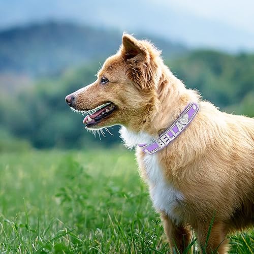 Miniatura 15 de Collar de perro de cristal personalizado con nombre brillante, collar de perro con diamantes de imitación brillantes para perros pequeños, medianos