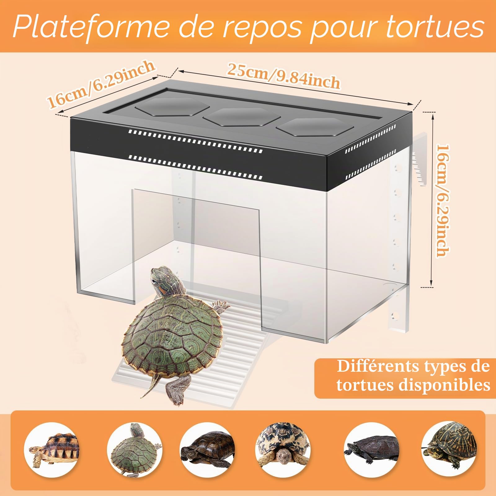 Plateforme de repos pour tortues à hauteur réglable suspendue avec couvercle et rampe, 25×16×16 cm, petit enclos d'aquarium transparent en PC au-dessus du réservoir pour bébés tortues terrestres