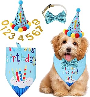 Combo de Aniversário Pet 4 itens - Decoração com Chapéu